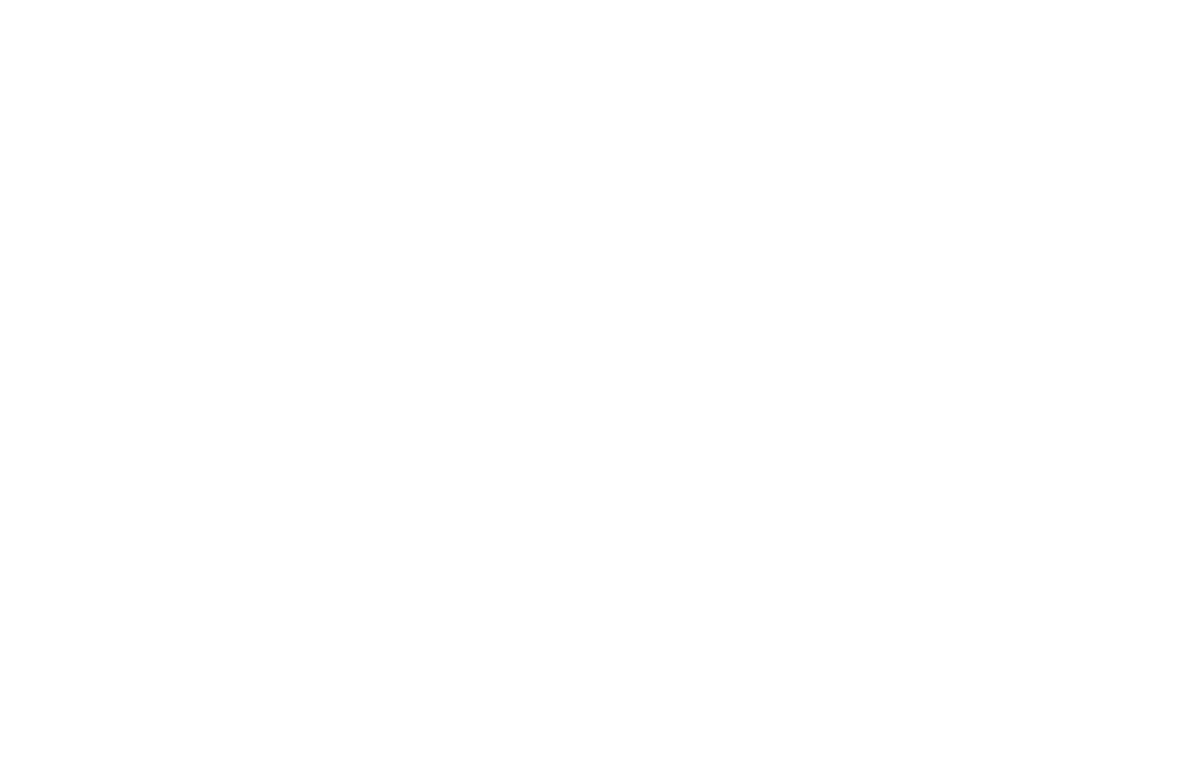 Sea and Shore Trade Services